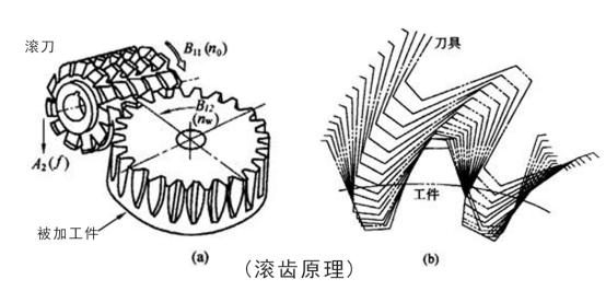 滾齒原理